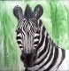 58 - Frank Rabin - Zebra - Acrylic.JPG